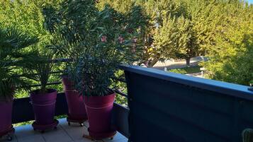Terras