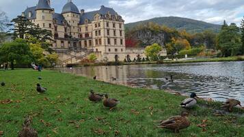 Áreas de la propiedad