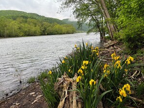 Ein Fluss mit einem bewaldeten Hügel im Hintergrund.