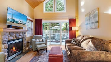Smart TV, fireplace, books