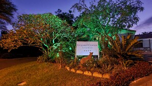 Letrero que indica 'Leopard Corner Guest House', con una escultura de jirafa y plantas iluminadas.