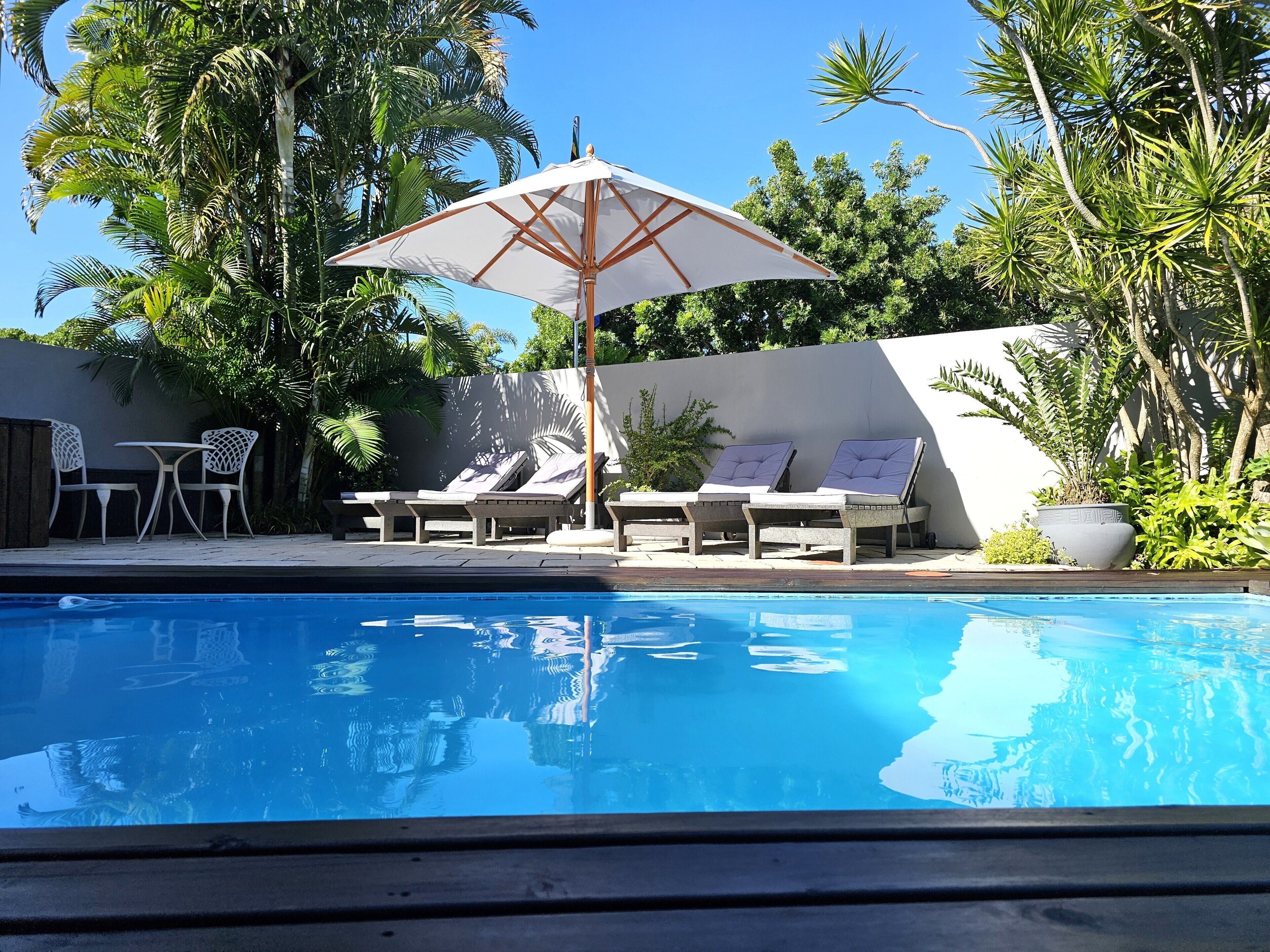 Ein Swimmingpool mit Liegestühlen und Sonnenschirm, umgeben von tropischer Bepflanzung.