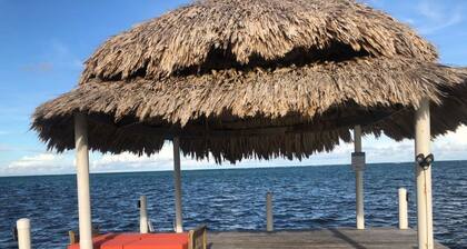 The Hidden Blue Point "La Chakra" A Stunning Ocean View Cottage.