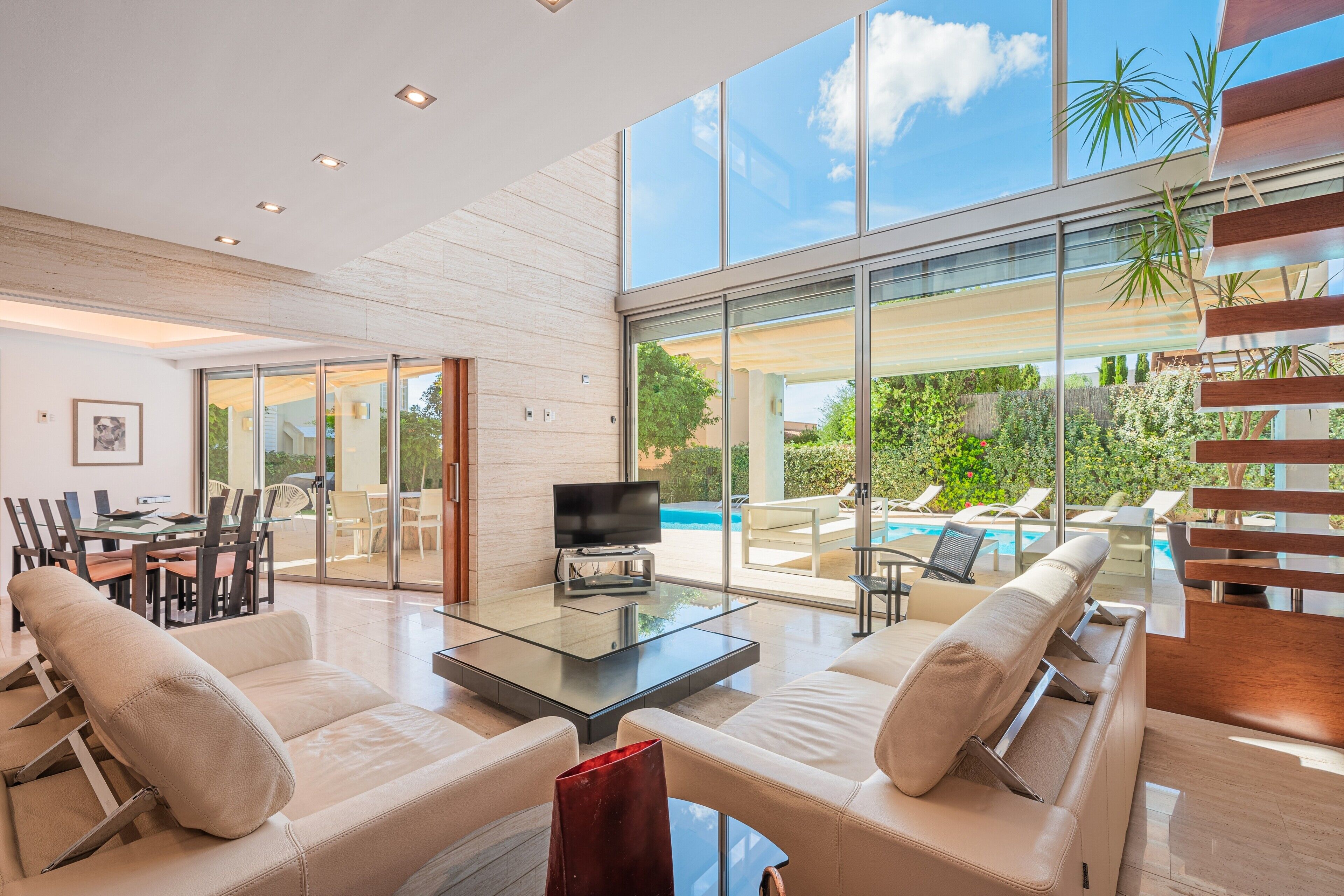 电视、DVD 播放器、乒乓球