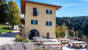 A building with a sloped roof, a central entrance, and multiple windows. - Holiday Apartment Hof im Thal Apt Linde with Mountain View, Balcony & Wi-Fi (Aldino)