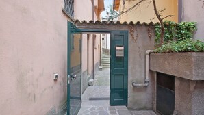 A narrow alleyway with a green door leading to a courtyard, stone flooring, and a small tree.