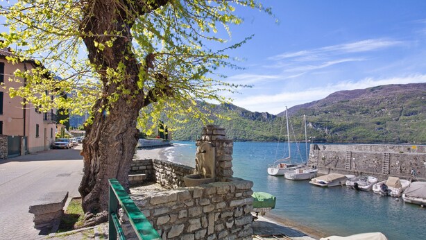 A waterfront scene with a stone wall, a tree, and boats docked at a pier.