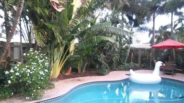 Piscina com um flutuador em formato de cisne, rodeada por vegetação exuberante e um guarda-sol vermelho.