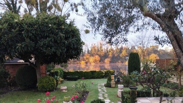 Un jardín con un sendero de piedra, diversas plantas y un pequeño estanque.