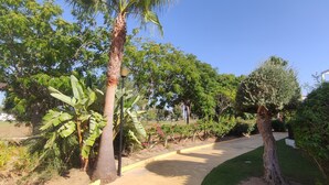 Un sentier traverse un jardin bien entretenu, où l’on peut admirer différentes espèces d’arbres et d’arbustes. Le ciel est dégagé, et un bâtiment à la façade blanche se dresse à l’arrière-plan.