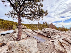 Property grounds - NEW Luxury Cabin 9200 feet, Denver Views (Golden)