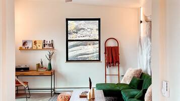 Smart TV, fireplace, books, music library