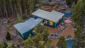 A cabin with a metal roof, surrounded by a forest and mountains.
