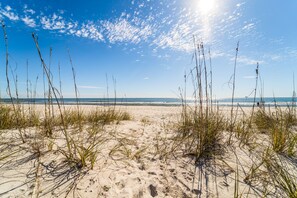 Uma praia arenosa com gramíneas altas e um céu azul límpido.