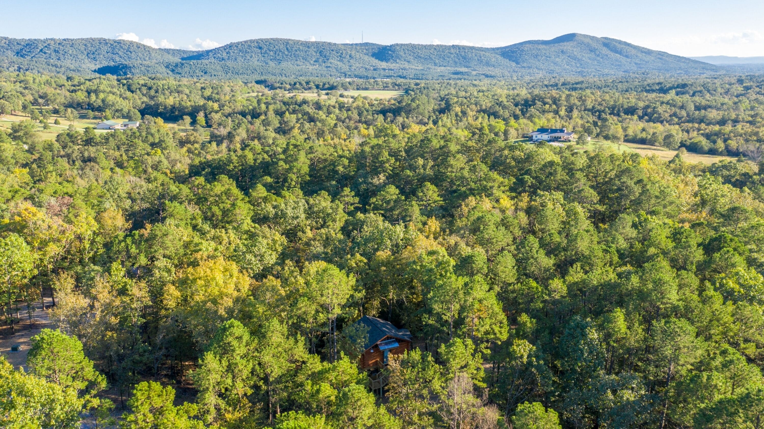 A forested area with a cabin and a large house visible in the distance.