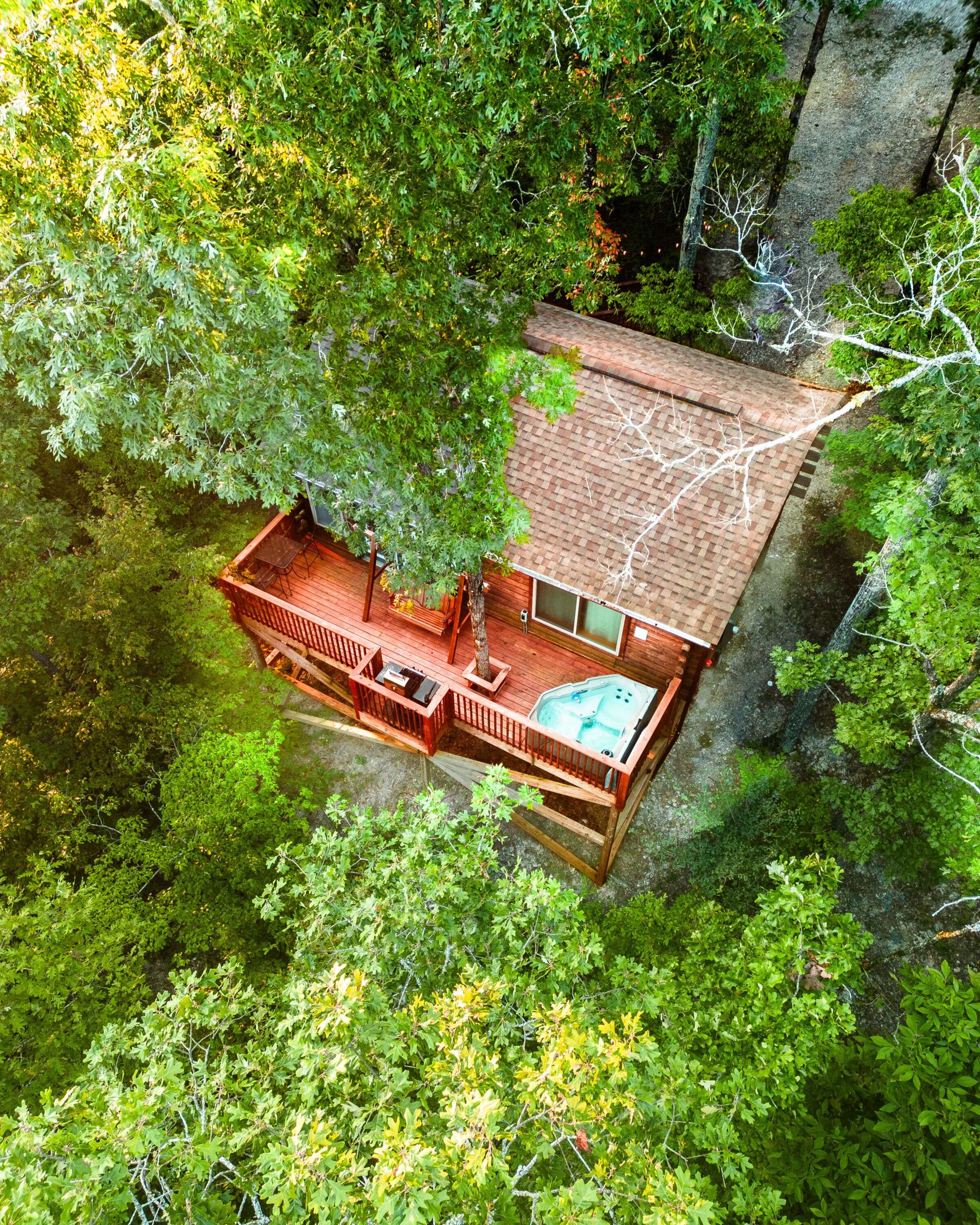 Una terraza de madera con un jacuzzi, rodeada de un bosque frondoso.