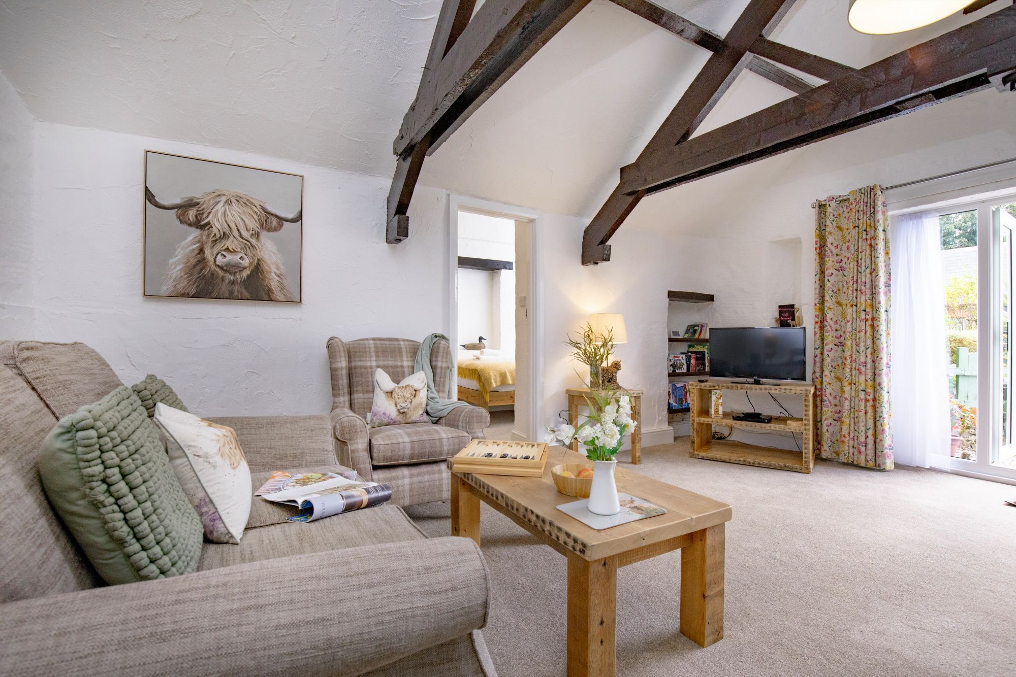 Smart TV, DVD player