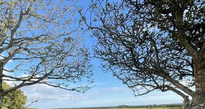 Keepers cottage @ Arrowan Common Farm