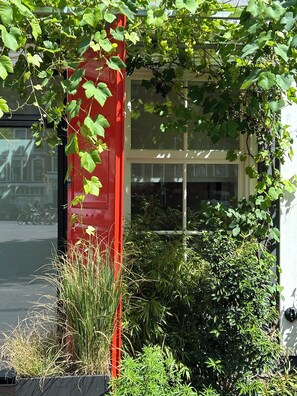 A red structure with vines and greenery, a window, and a building facade.