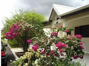 المنطقة المحيطة بالمنشأة