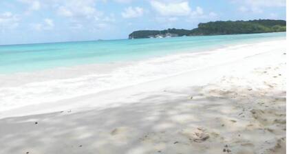 Spacious self-catering cottages with lovely terrace and shared swimming pool, in a peaceful setting.