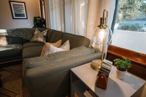Smart TV, fireplace, books, stereo