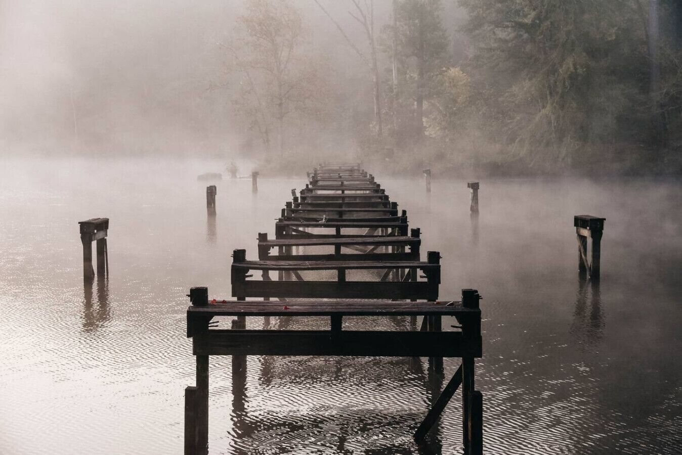 Een houten steiger die zich uitstrekt over een mistig wateroppervlak, met bomen op de achtergrond.