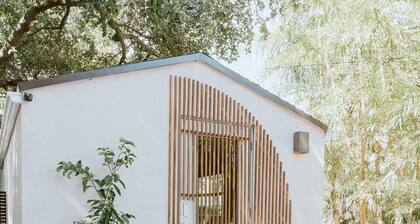 Terra Villeta @_lumicollection