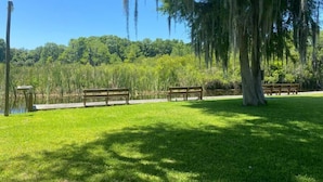 A park with benches and a pond.