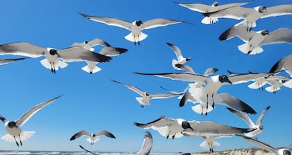 Spacious Coastal Villa W/ Heated Pool, Office & Gameroom