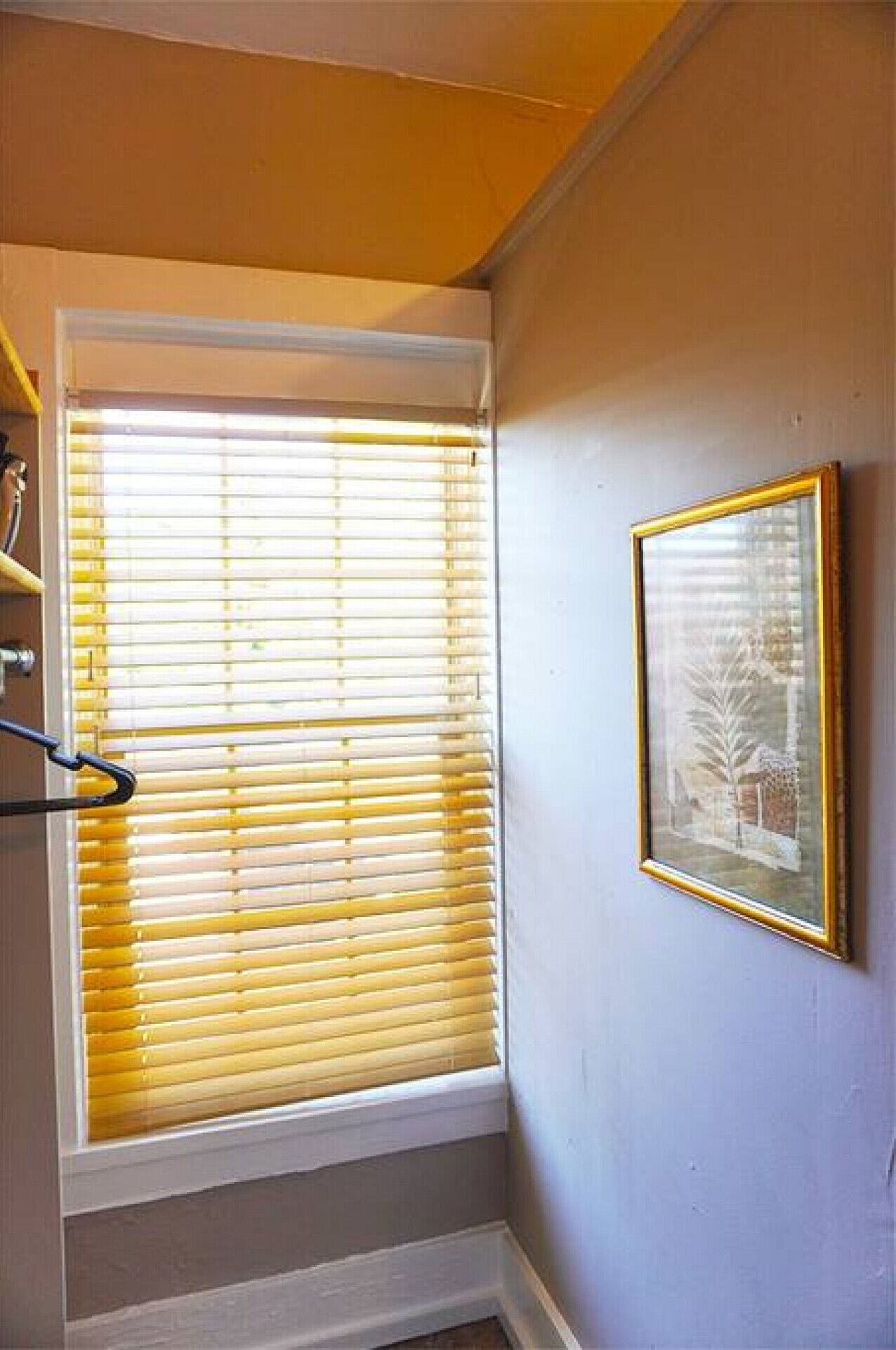A room with a window with blinds, a framed picture on the wall, and a door with a towel rack.