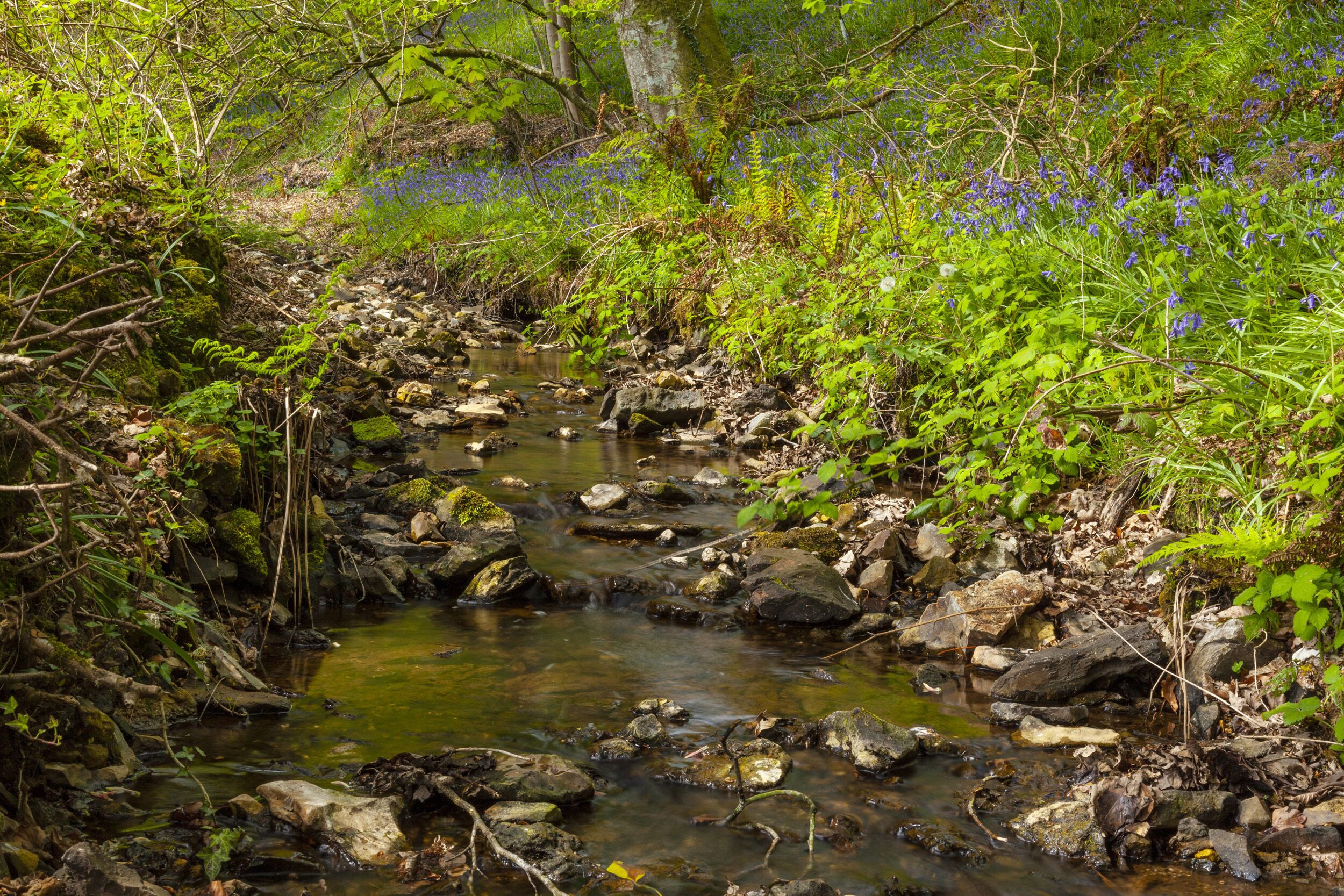 A natural stream surrounded by rocks and greenery.