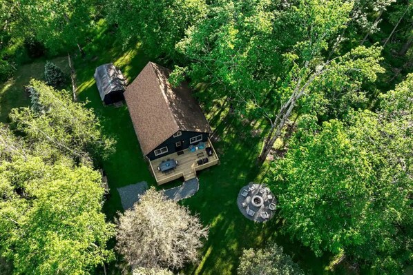 Vista aerea di una casa circondata da alberi verdi e fitti.