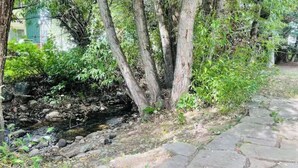 Ein Kiesweg entlang eines kleinen Baches, umgeben von Bäumen und Grünpflanzen.