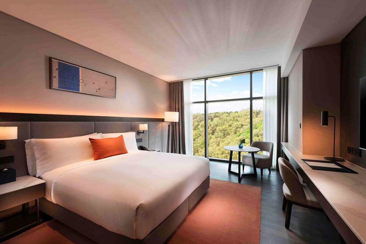 Habitación de hotel con una cama grande, un escritorio, una silla, un televisor y una ventana con vistas a árboles.