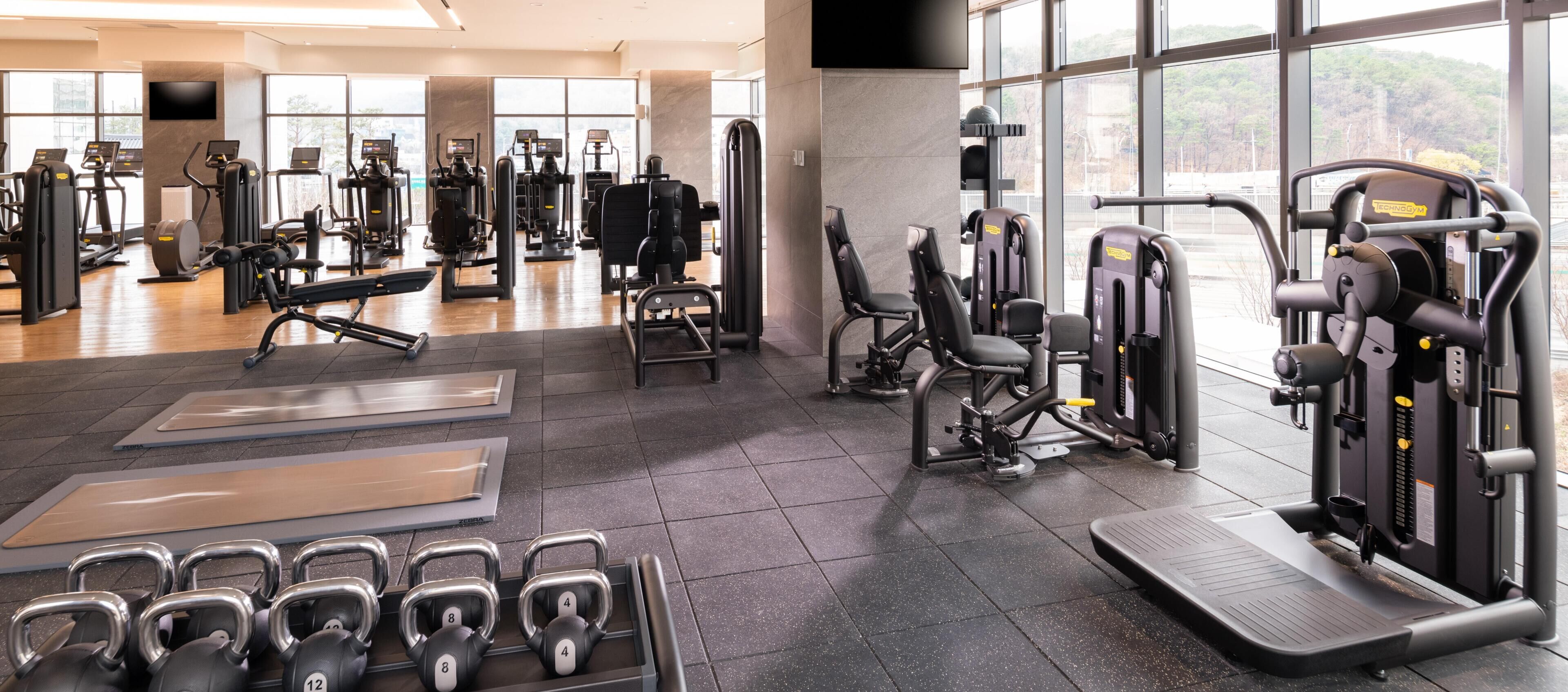A gym with various exercise machines, treadmills, and free weights.