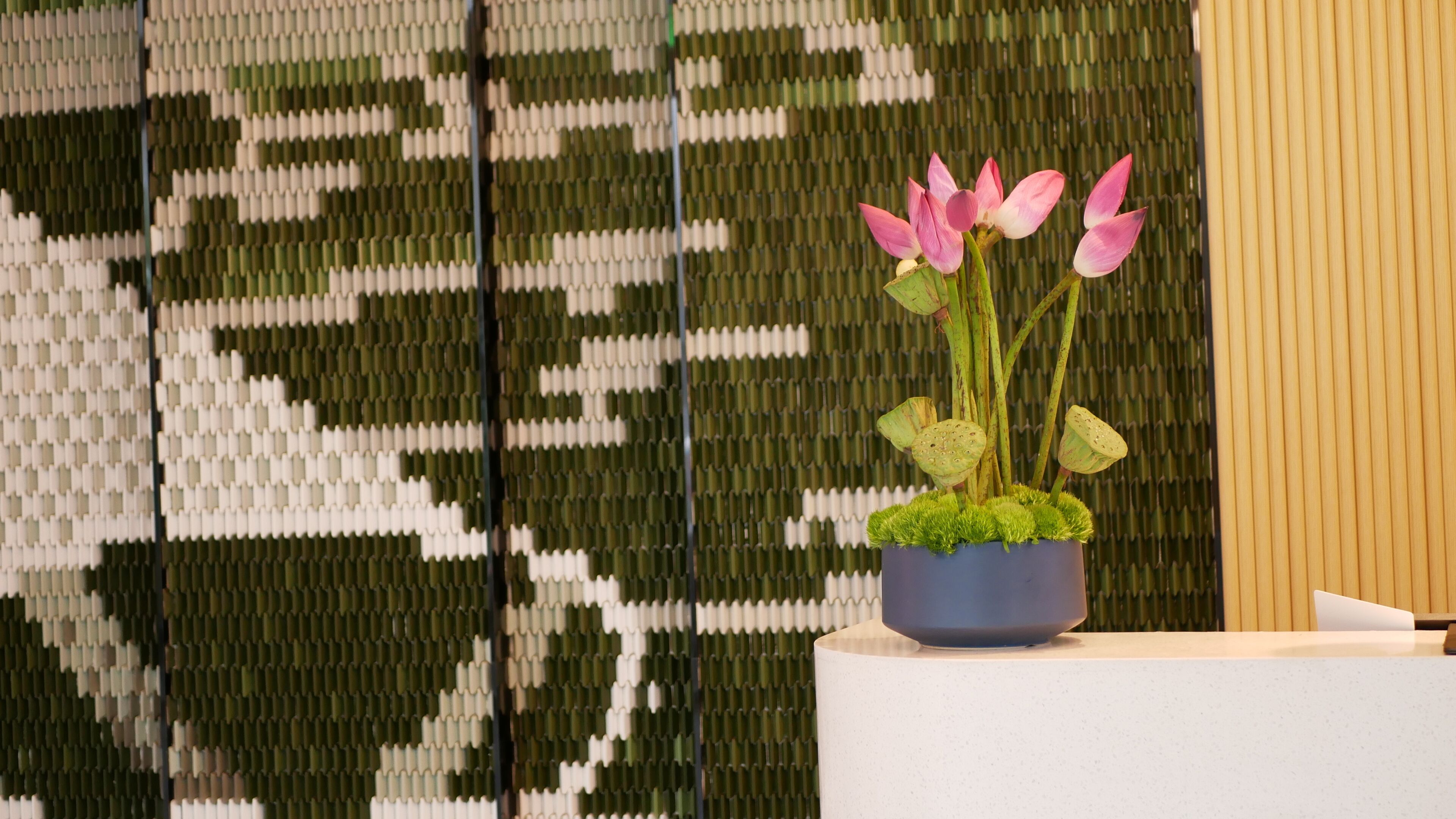 A reception desk with a potted plant of pink flowers and green foliage.
