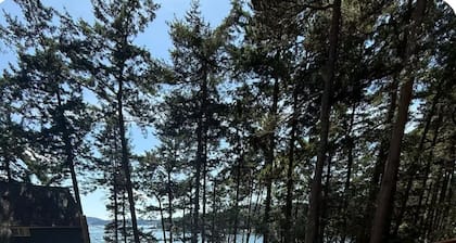 Cottage at Doe Bay - Entire Home (New Listing)