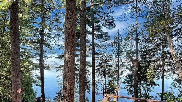 A wooden deck with a bench and a railing overlooking a forested area with tall trees and a body of water in the background. - Horizons West Hideaway (Waterfront on Moosehead Lake) (Greenville)