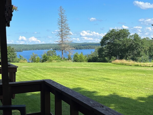 Una terraza con césped y vistas a un lago y árboles.