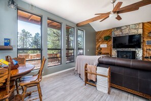 Smart TV, fireplace, video games, stereo