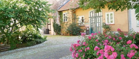 Extérieur