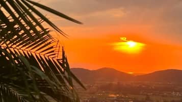 Chale da Montanha com Ofuro - Sto Amaro | Vista para o jardim