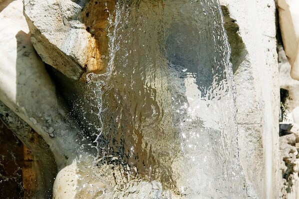 Unclassified image, 1 of 19, button
