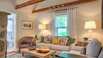 TV, fireplace, books