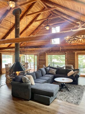 TV connectée, cheminée, lecteur de DVD, livres