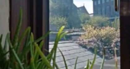 Townhouse Wexford Town Private Garden