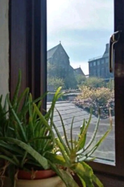 Townhouse Wexford Town Private Garden