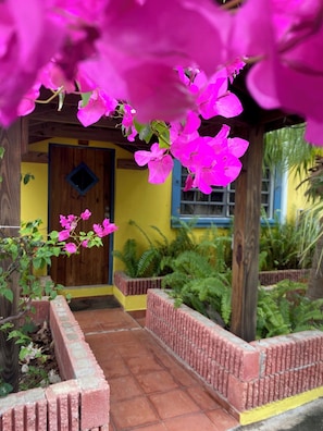 Stroll through a serene garden oasis, surrounded by lush greenery and vibrant flowers beneath a charming pergola.