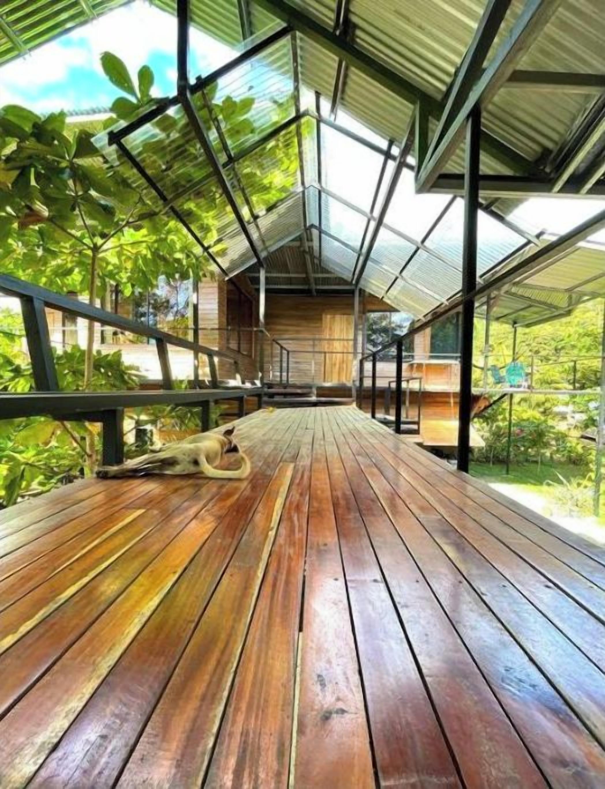A wooden deck with a metal roof structure, surrounded by greenery.